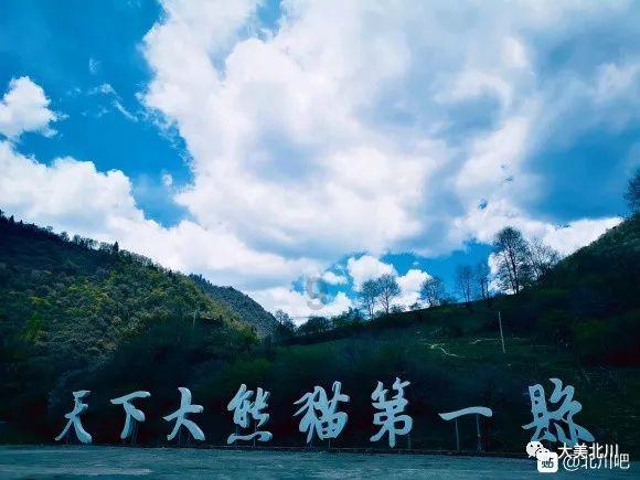 缅甸一军机在印度降落时滑出跑道 致8人受伤