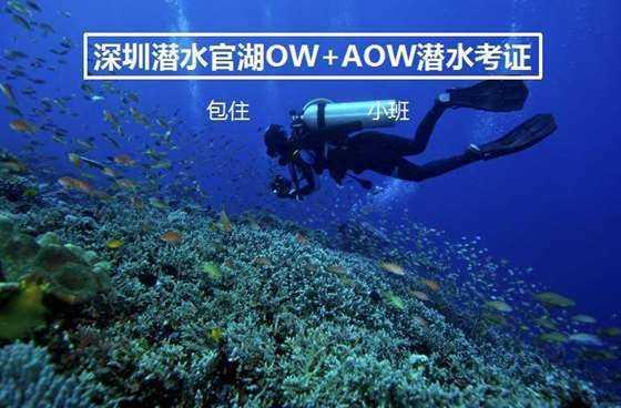 闪电冰火人