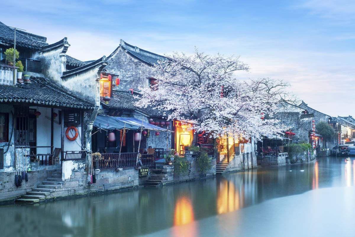 飞扬的方块鸟