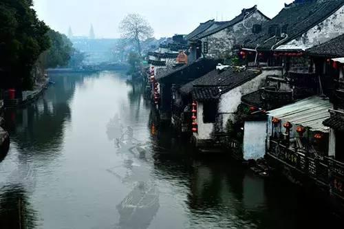 春雨直播app